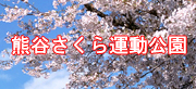 ַëƥ˥.COMס̸ëԤΥƥ˥󡧷ë鱿ư